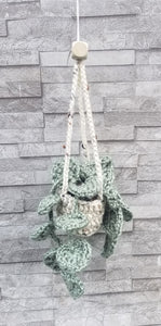 Hanging Leaf Plant with Scent Bag - Willowisp Apothecary 