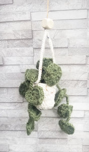 Hanging Leaf Plant with Scent Bag - Willowisp Apothecary 