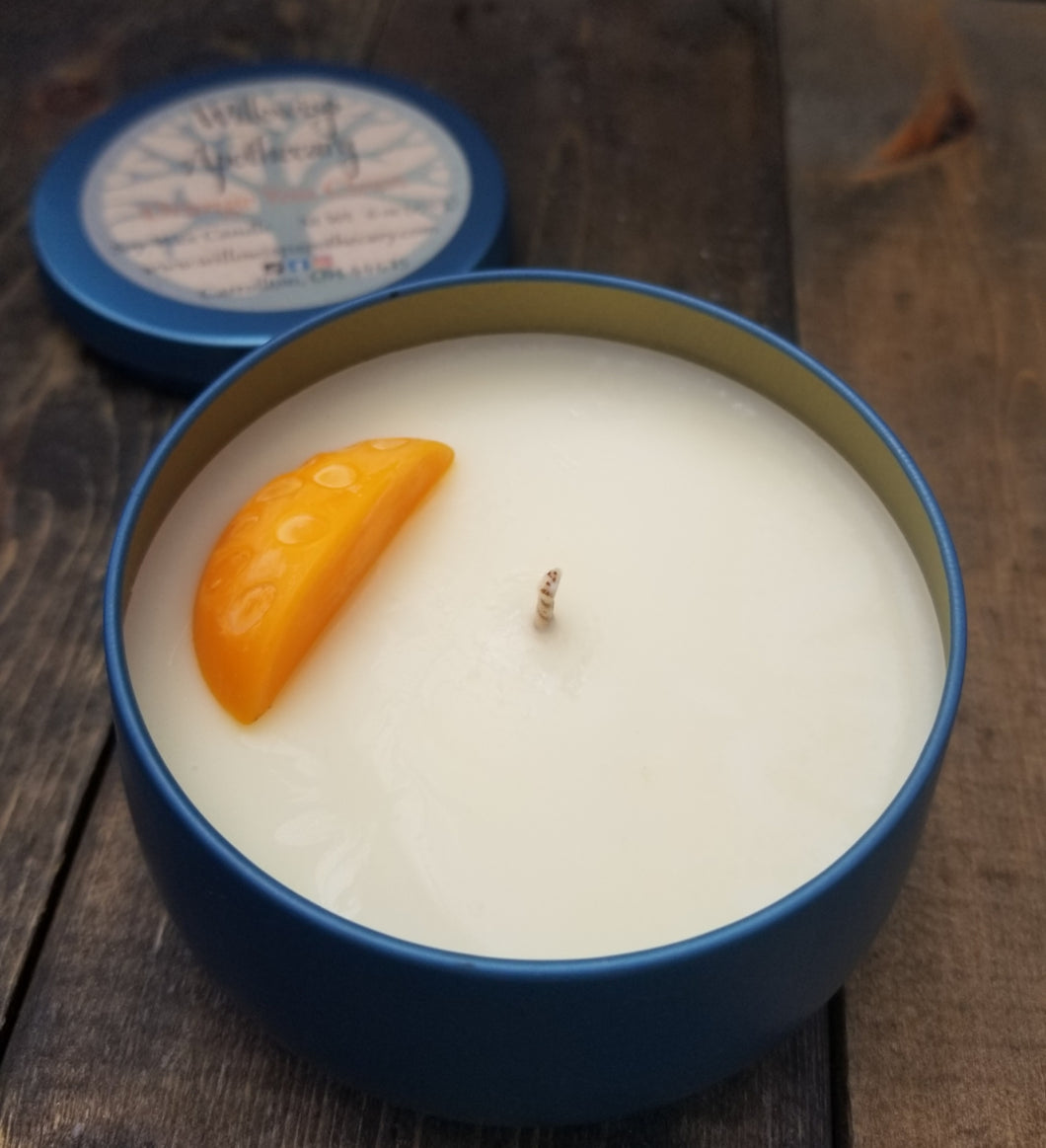 Orange You Clean Soy Wax Candle - Willowisp Apothecary 
